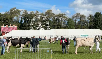 20240912 111125992 i OS